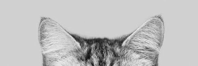 dre4medi's profile banner image