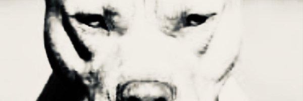 caleb_feaster1 Profile Banner