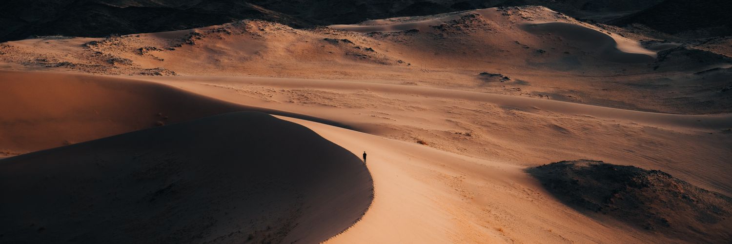 🐦‍🔥 Gus 🏴‍☠️ banner