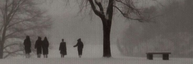 aaquette's profile banner image
