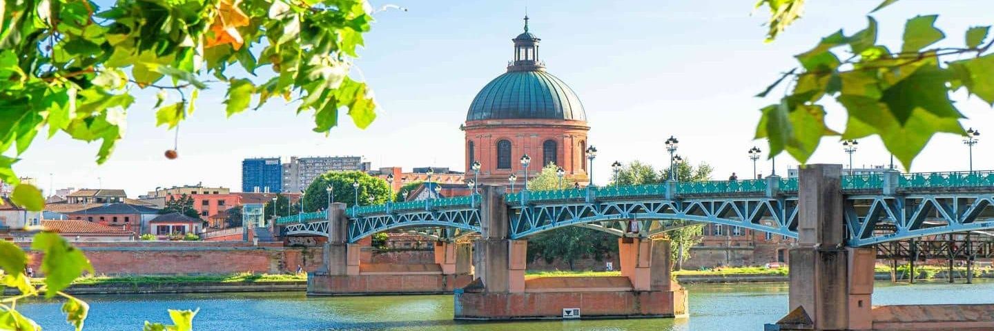 c31 👁️🧣🐺 banner