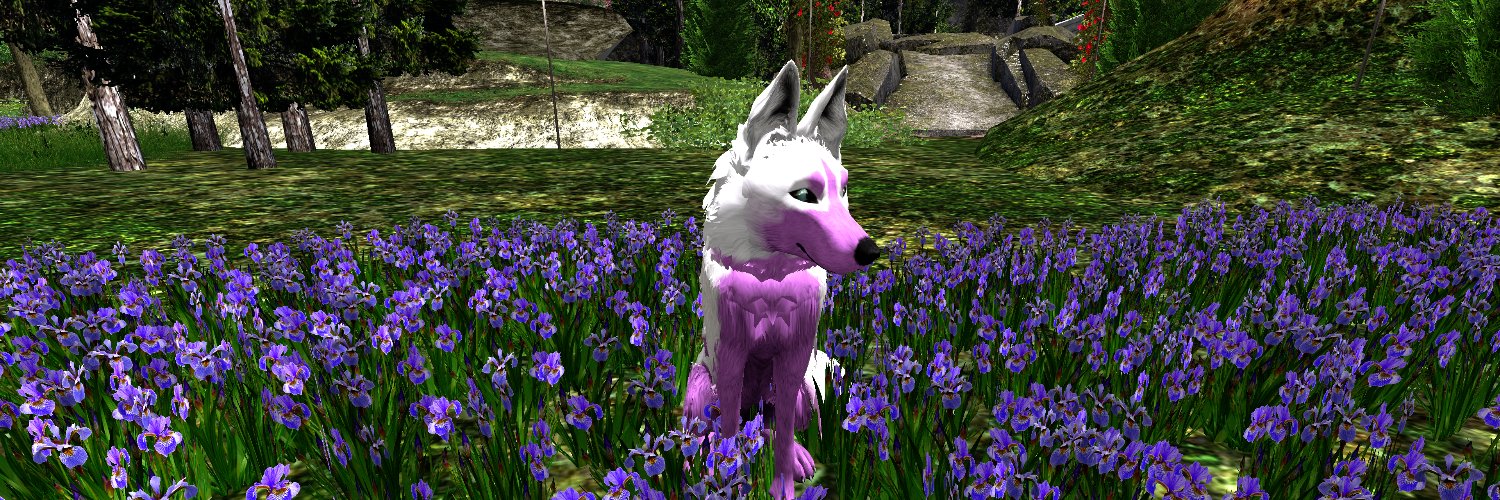 FlamingWulf04's profile banner image