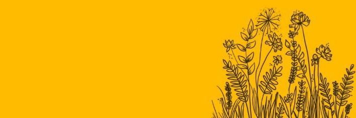 httpssmeme's profile banner image