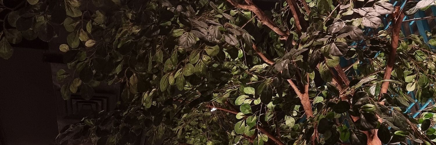 Meng banner