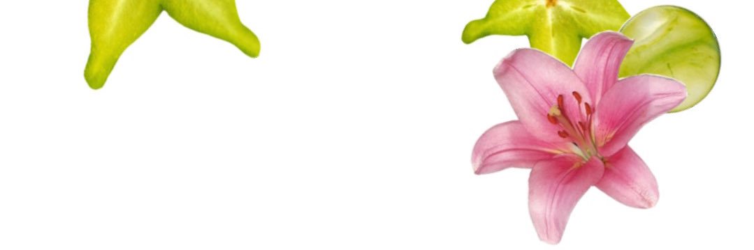 Lune 𓍢ִ໋🌷͙֒ banner