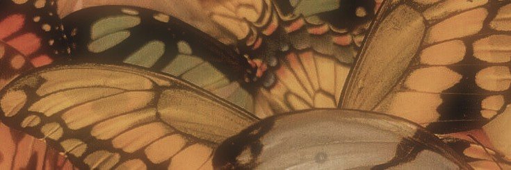 lucisteeI's profile banner image