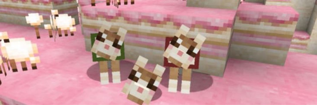 yurus_room's profile banner image