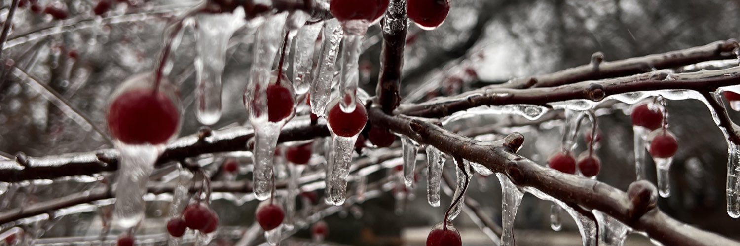 ℜ 𝔥 𝔢 𝔱 𝔱 banner