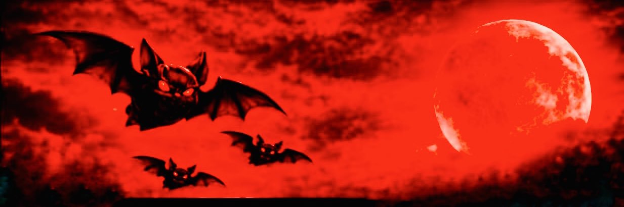 VAMPIRE🩸 banner