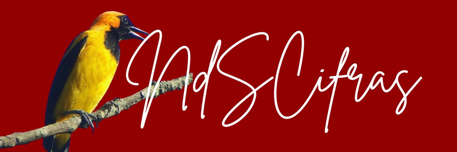 NdSCifras's profile banner image