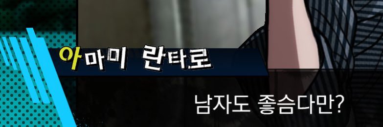 하와이 치와와's banner