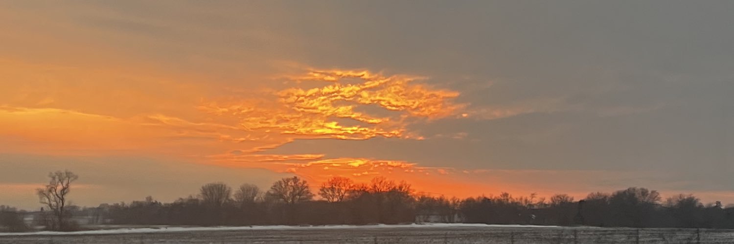 HamannBrooke's profile banner image