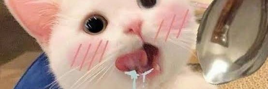 𐔌ไอรีนมัมหมี🐽₊.☘︎ ݁˖𐦯 banner