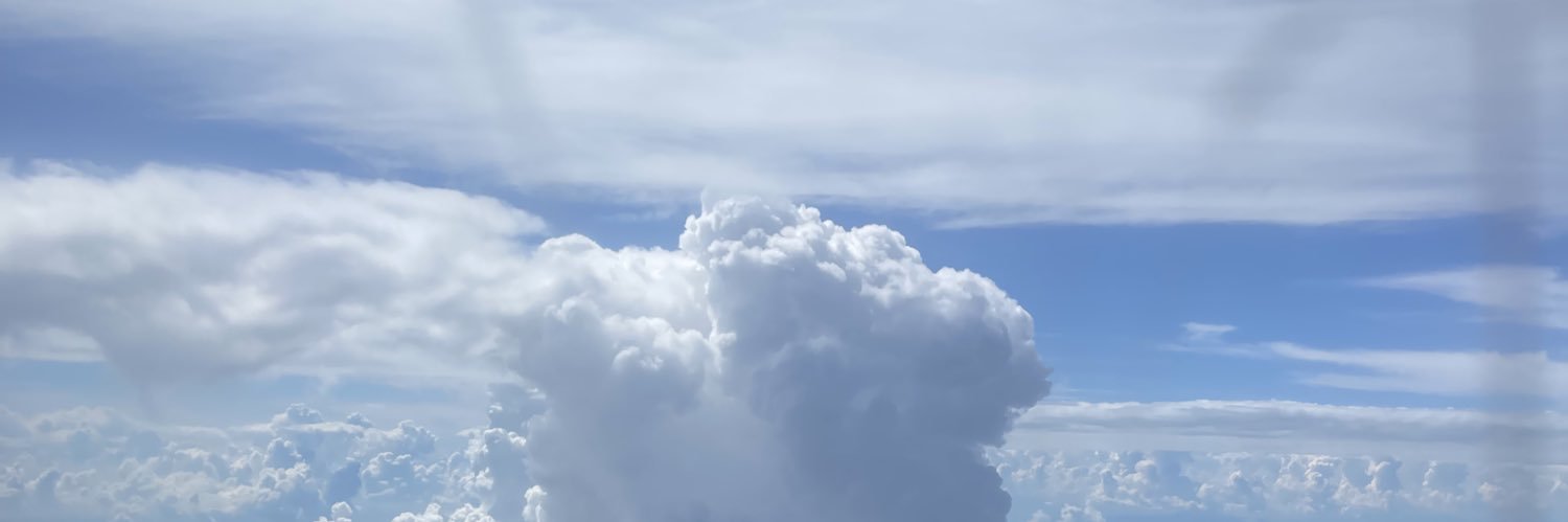 一家老小貓 banner