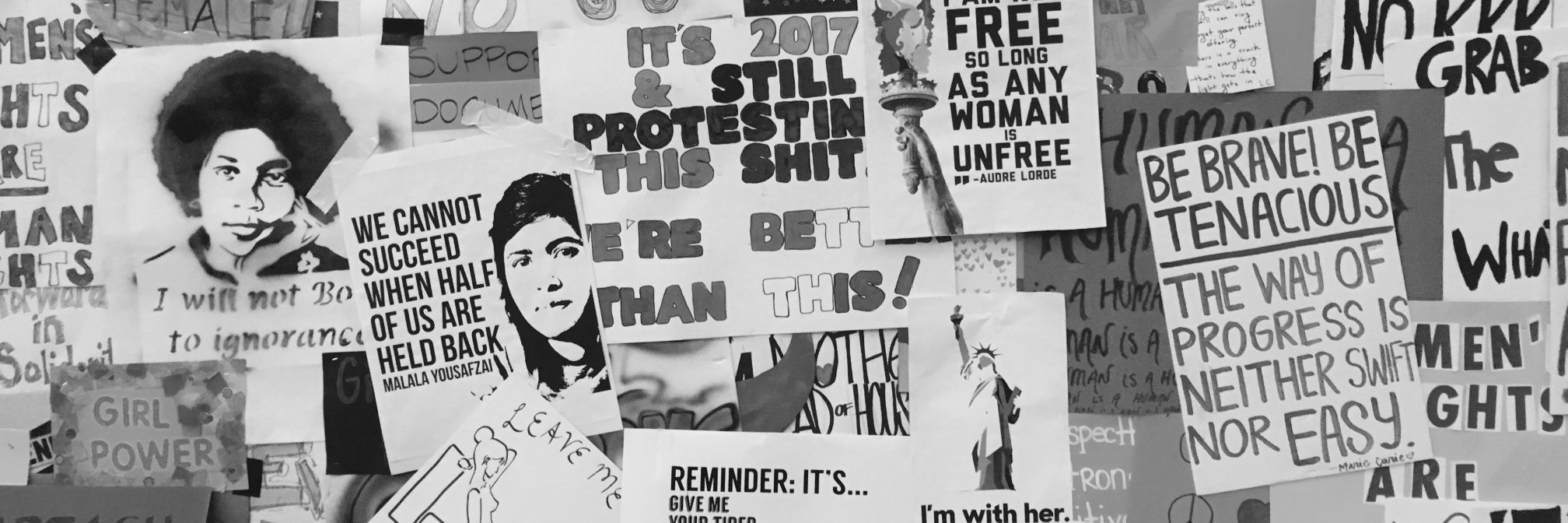 Dan Gordon banner