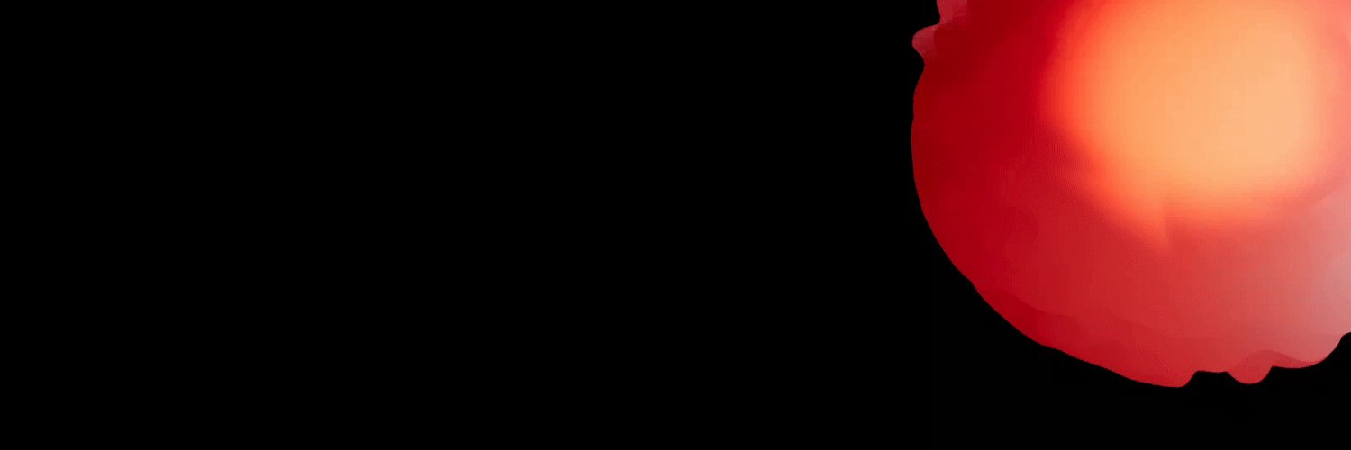 0xDev_'s profile banner image