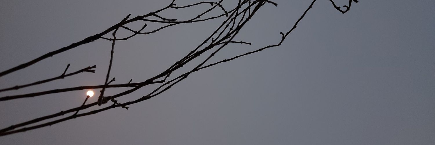 MyDearVibes's profile banner image