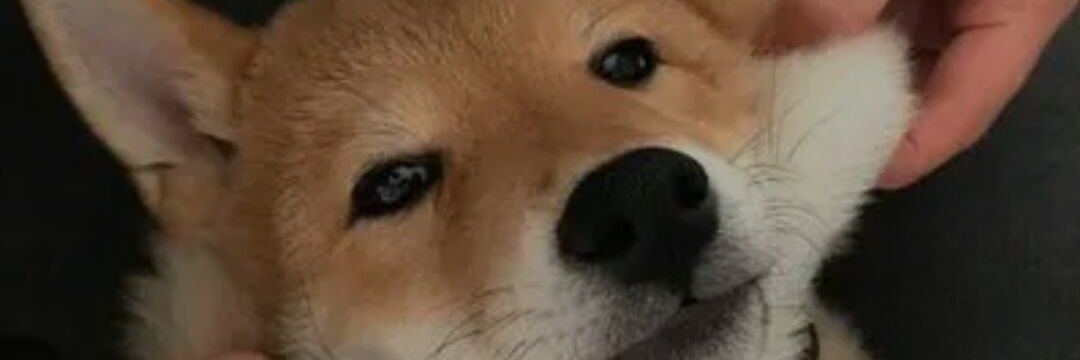 qdhblq's profile banner image