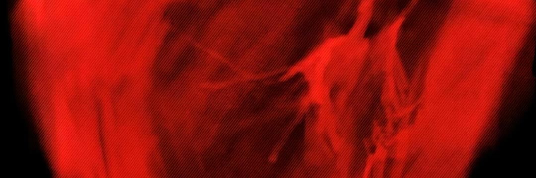 ic_ydc's profile banner image