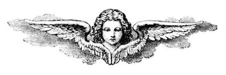 gigi banner