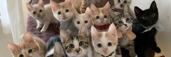 myommww Profile Banner