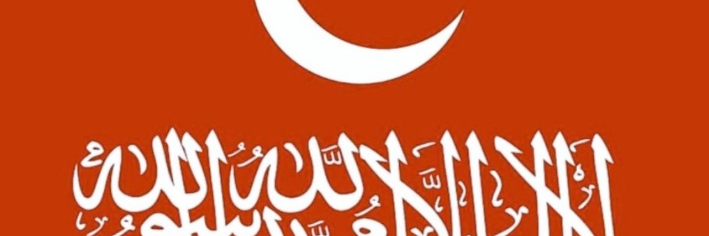 Alp ER banner
