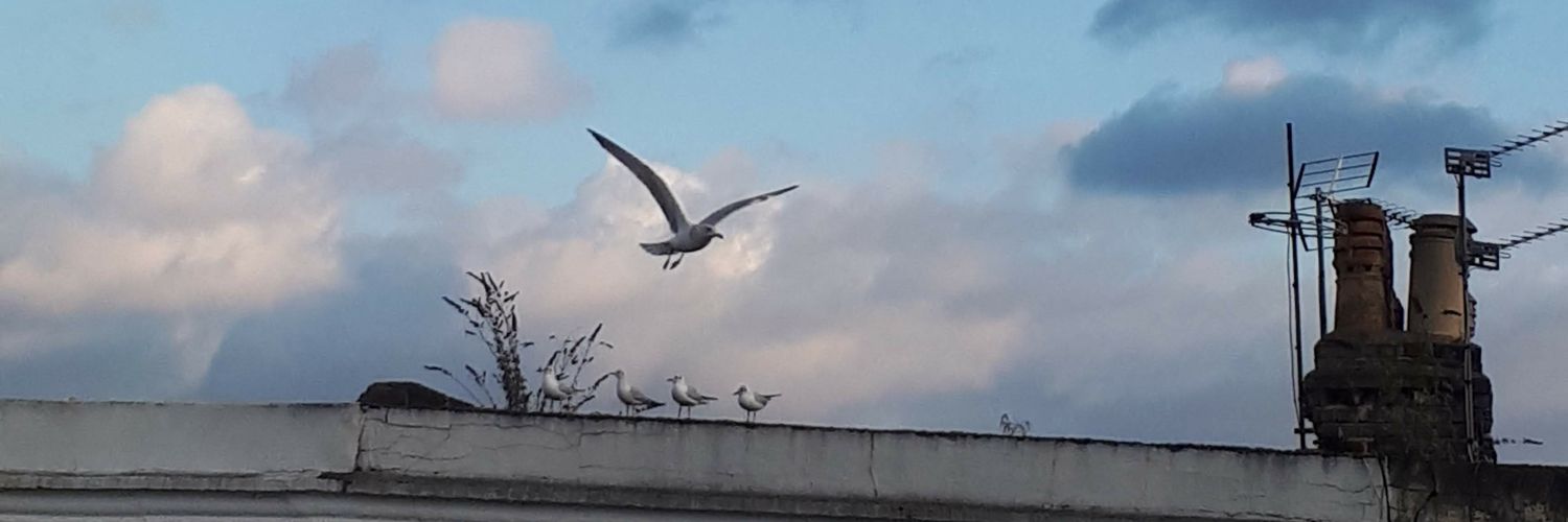AliQuack's profile banner image