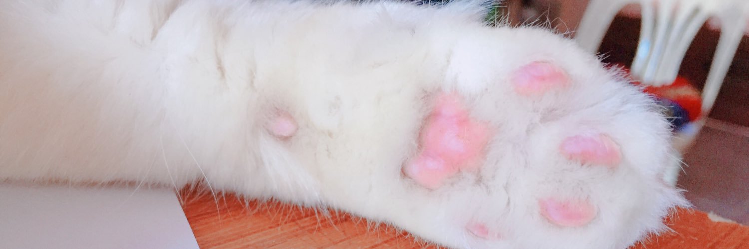haneulnida's profile banner image
