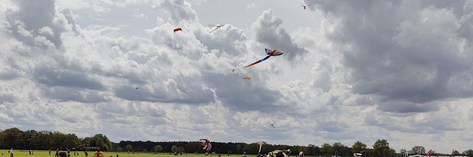 Rodolfo Hansen banner