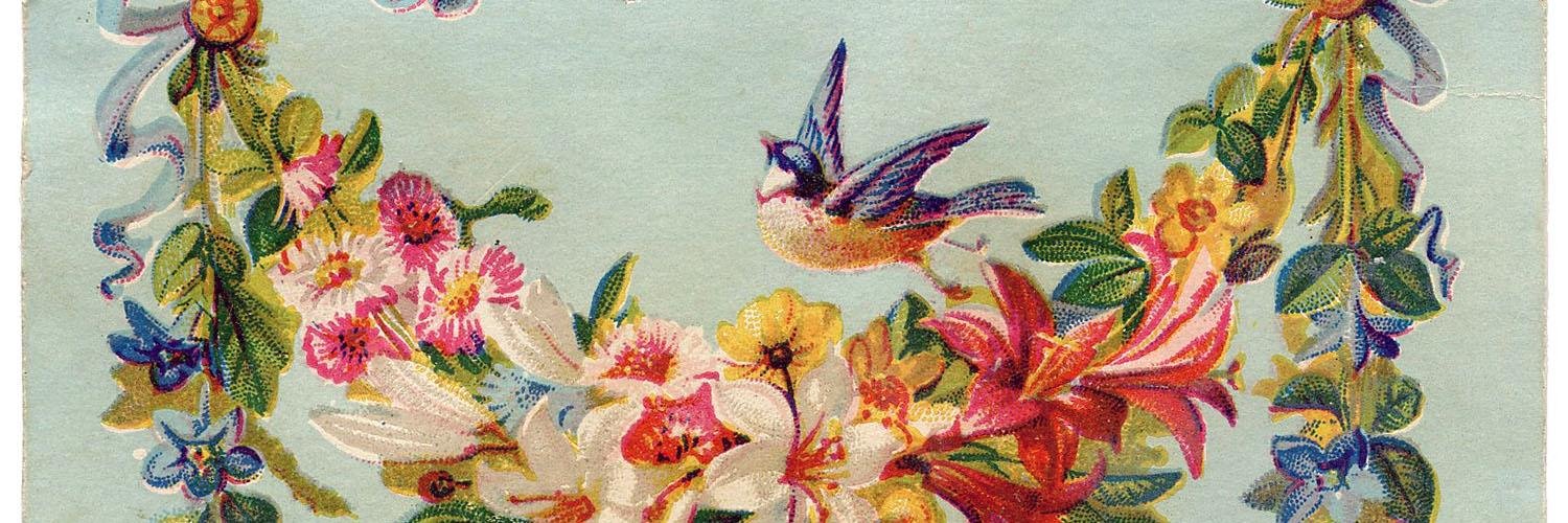 BrightonBeautiful banner