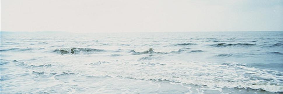 N. banner