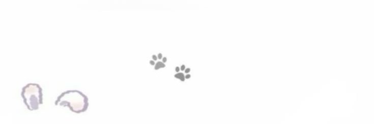 𑣲┆𝑚𝑎𝑓𝑢 ˚.⋆ֹ banner