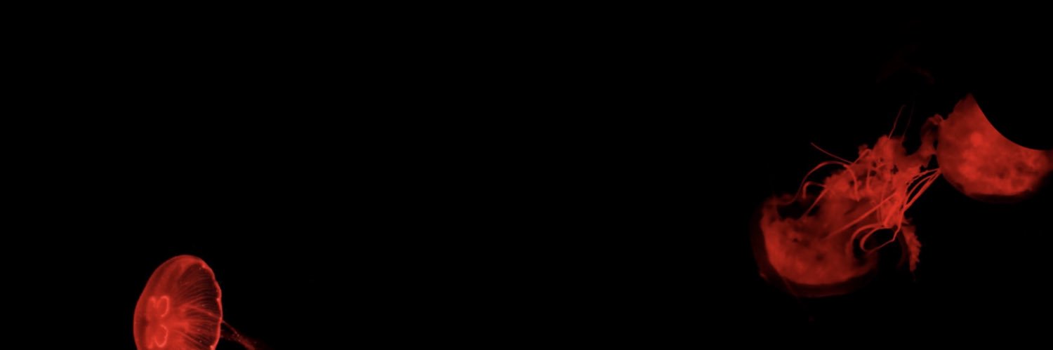 lv_lmwm's profile banner image