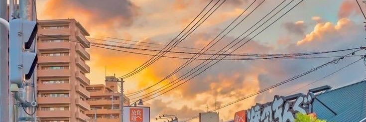 Wingg491282's profile banner image