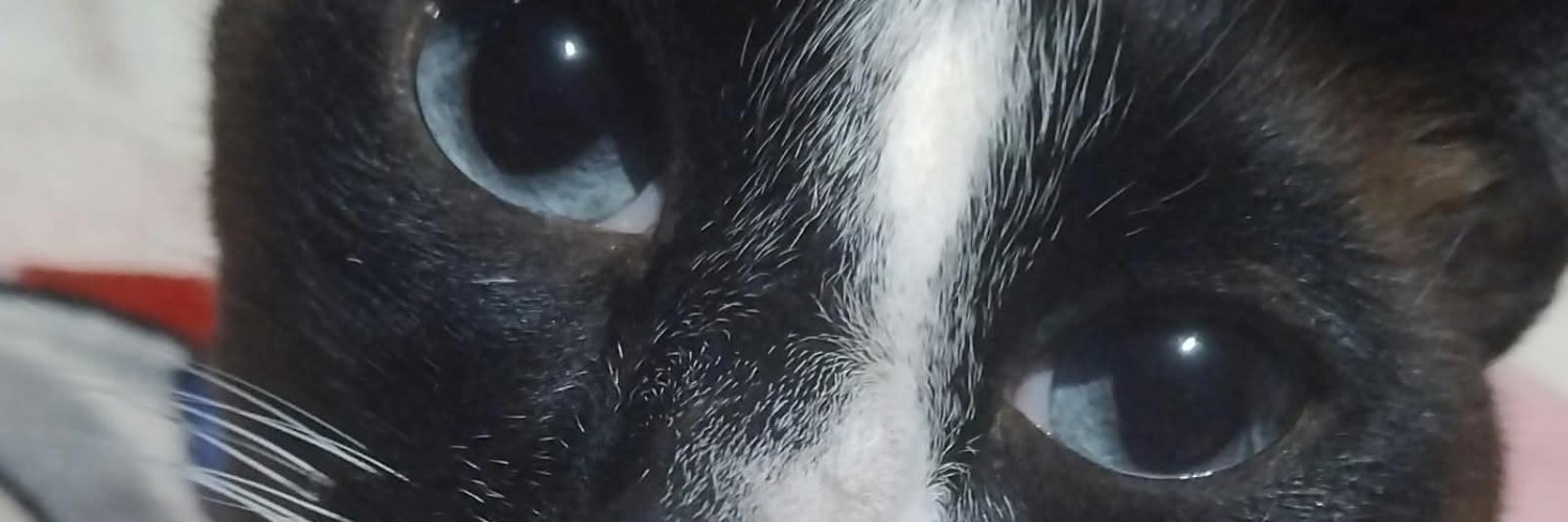 Slipkhelo___'s profile banner image
