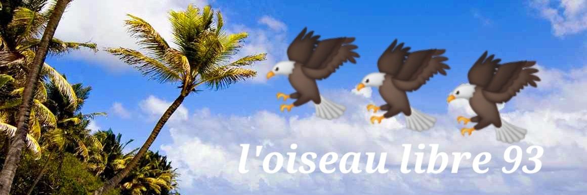 BiHomme93's profile banner image