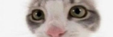 Ferxain_'s profile banner image