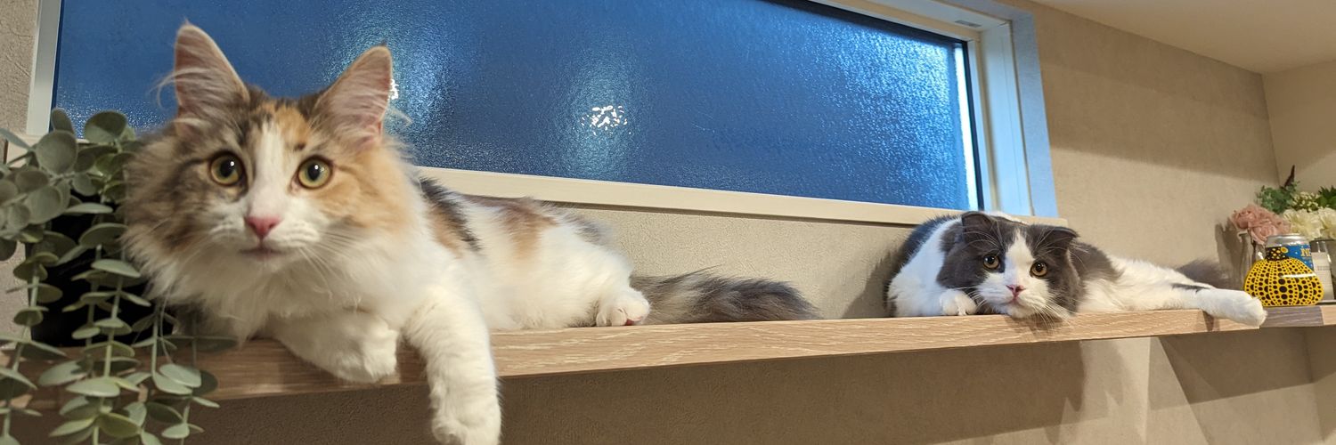 mm_34's profile banner image