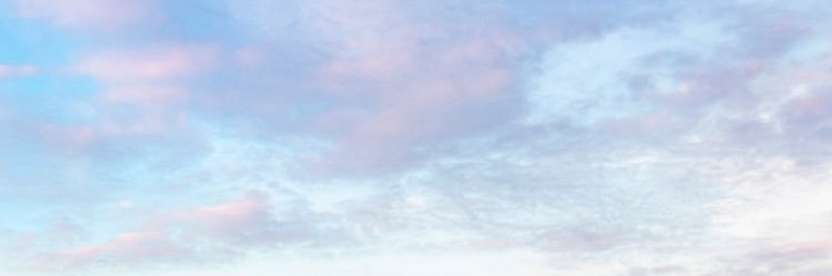 らら banner