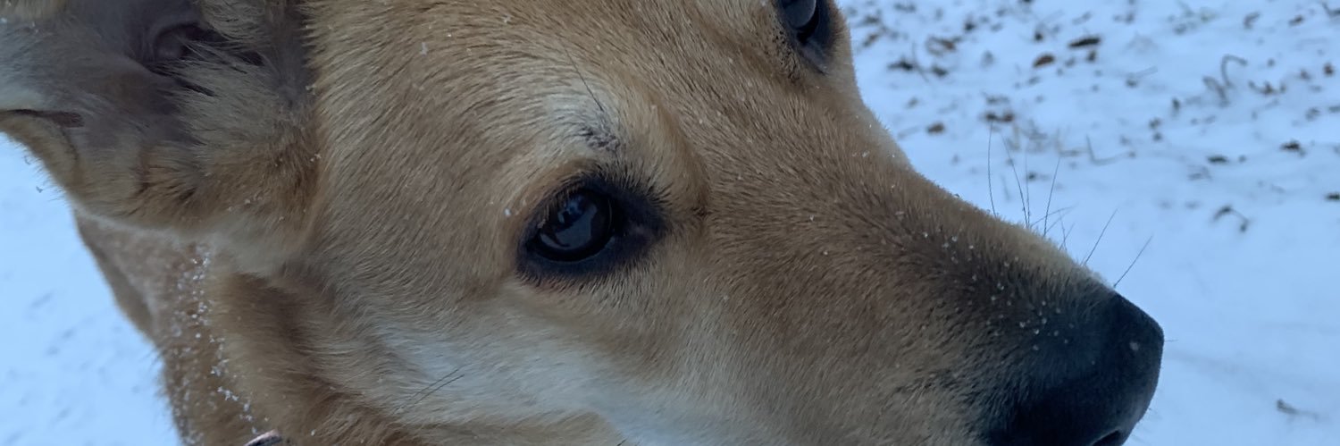andreasdorau's profile banner image