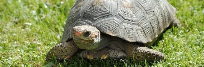 きのこスープ banner