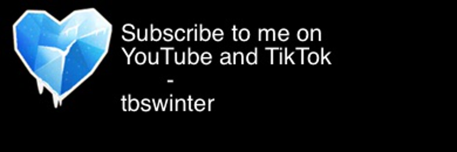 tbswinter profile banner