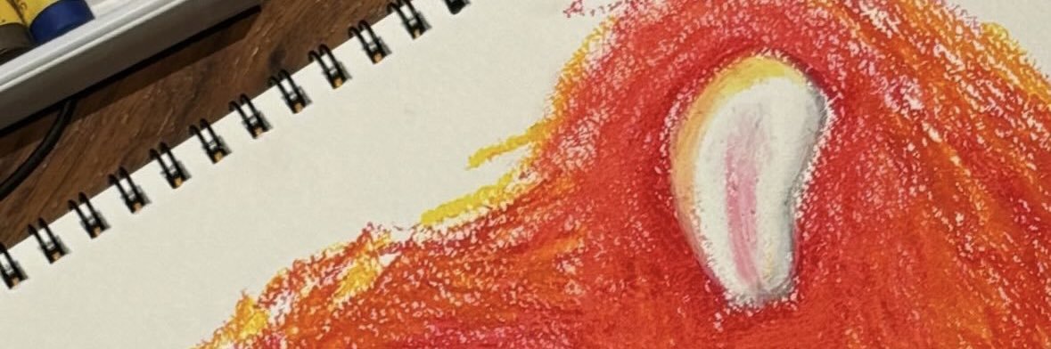 ✨ banner