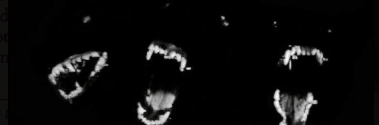 him047156's profile banner image