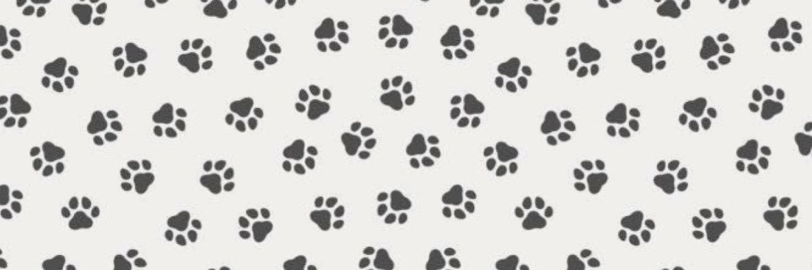 Boyblvsh's profile banner image