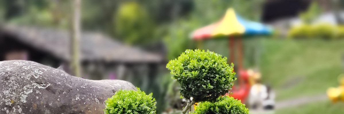 roque1194's profile banner image