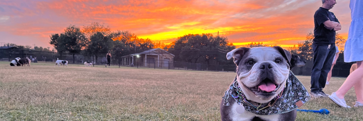 kdixon314's profile banner image