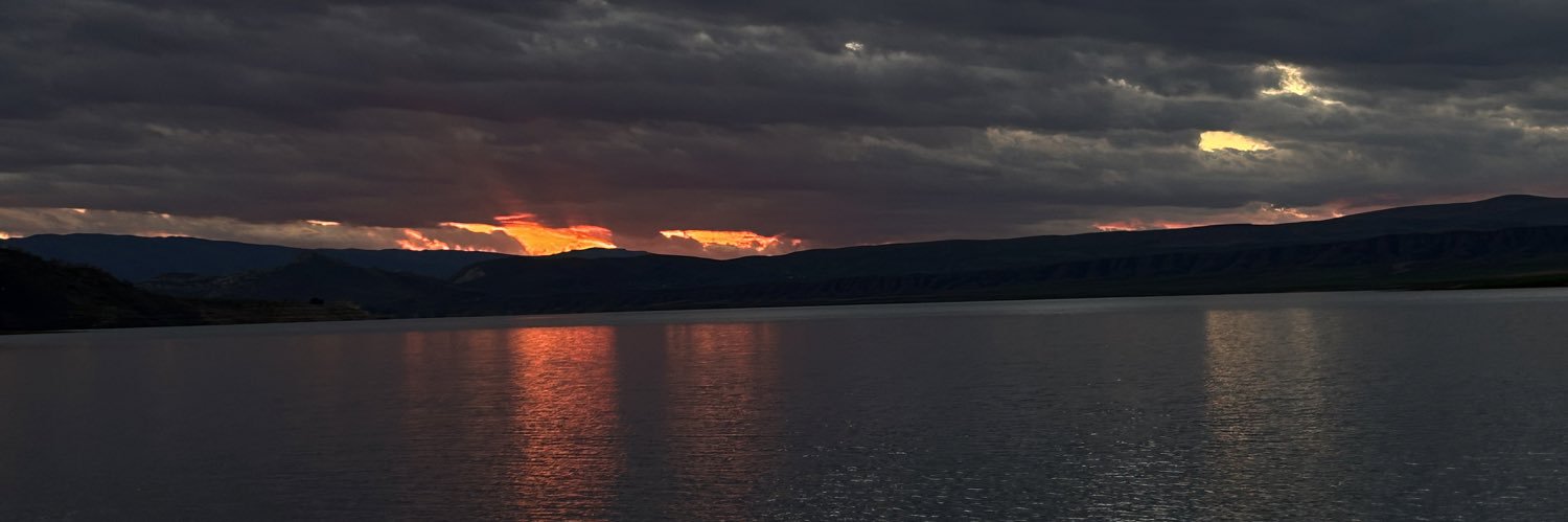 gosypol's profile banner image