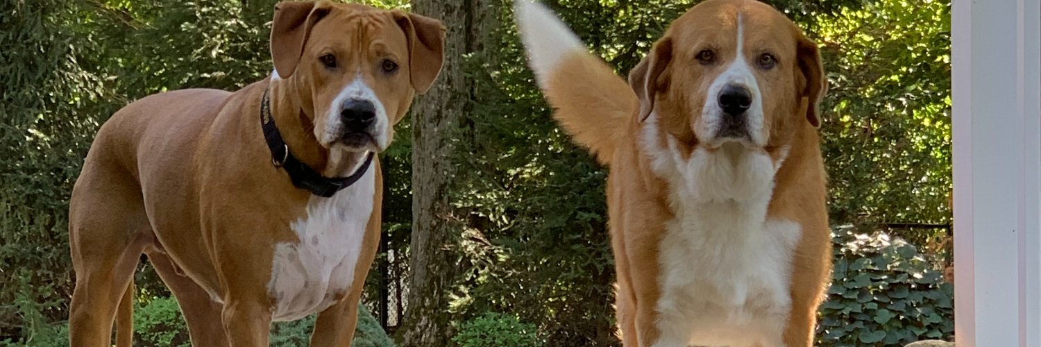 MaddRichLife's profile banner image