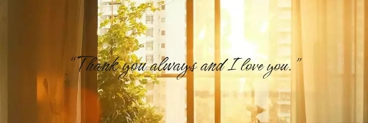 iwonutel's profile banner image